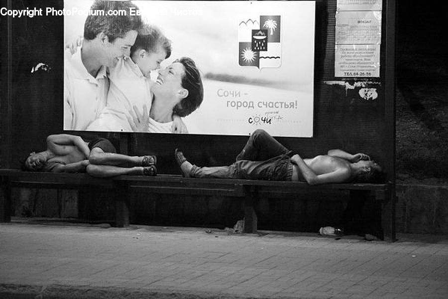 People, Person, Human, Hug, Kiss, Bench, Asleep