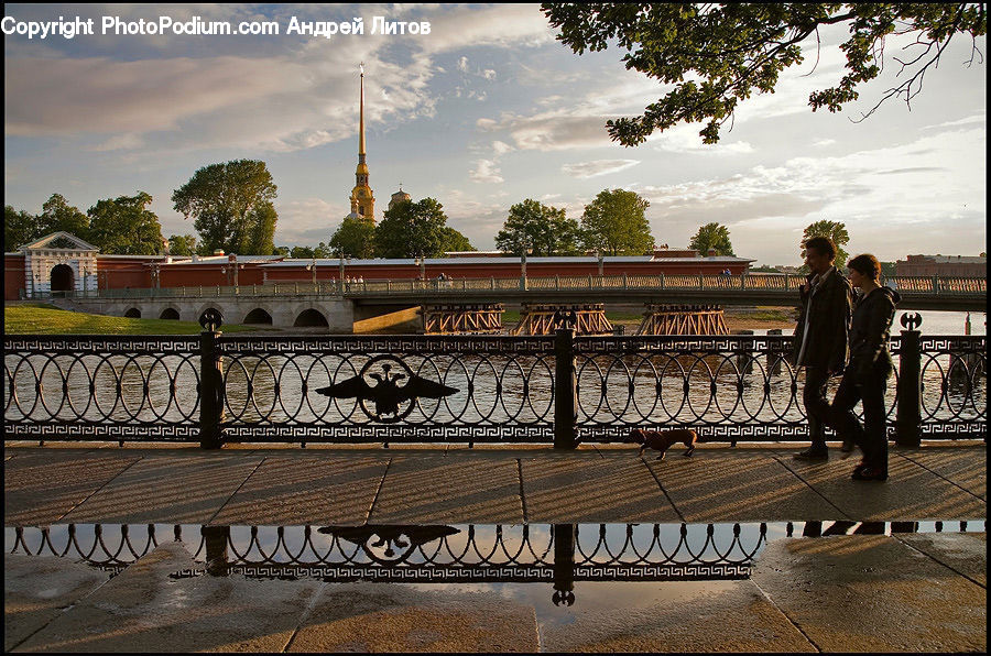 People, Person, Human, Railing, Plant, Tree, Exercise