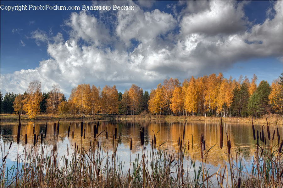 Lake, Outdoors, Water, Cloud, Cumulus, Sky, Azure Sky