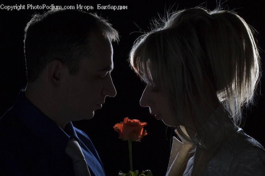 People, Person, Human, Amaryllis, Flower, Plant, Blossom