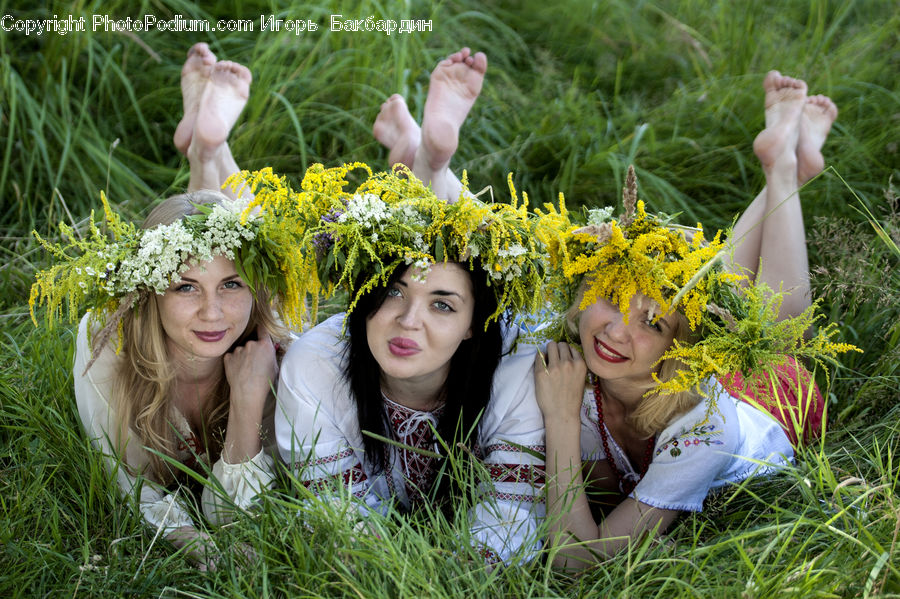 Female, Person, Blossom, Flora, Flower, Plant, Potted Plant