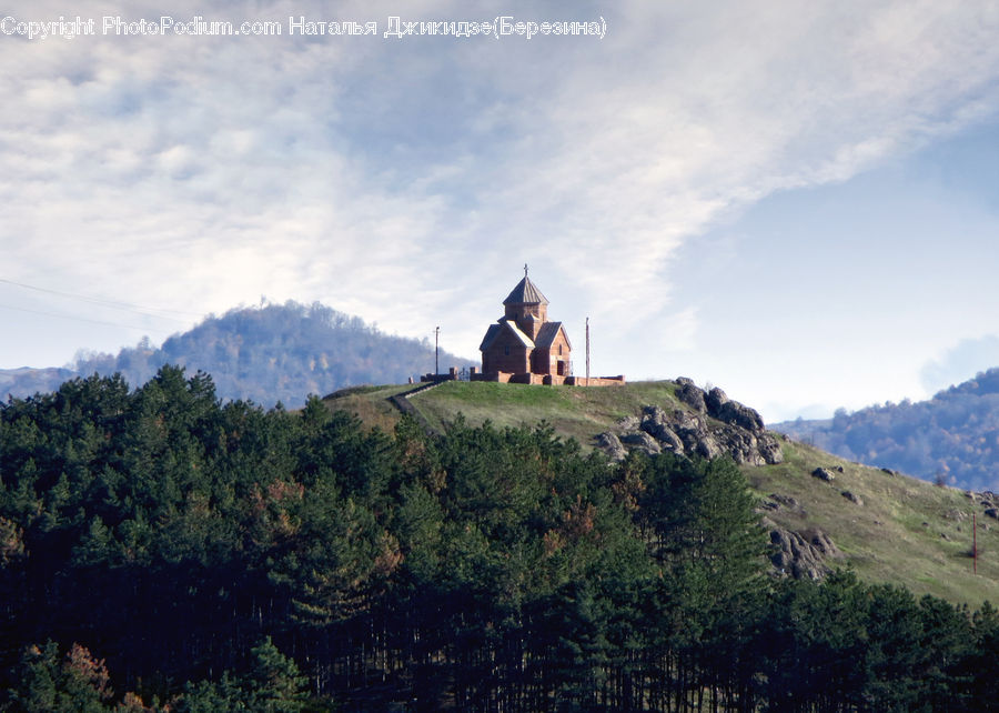Crest, Mountain, Outdoors, Peak, Forest, Vegetation, Conifer