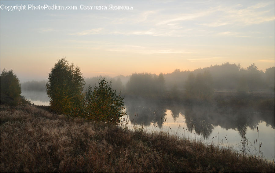 Fog, Dawn, Dusk, Sky, Sunrise, Sunset, Mist