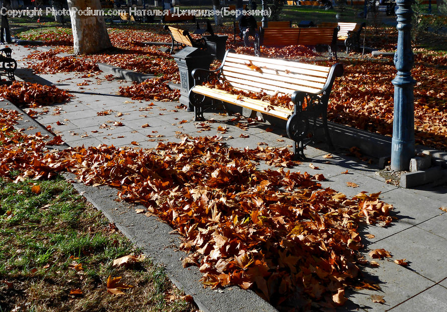 Bench, Boardwalk, Path, Pavement, Sidewalk, Walkway, Crowd