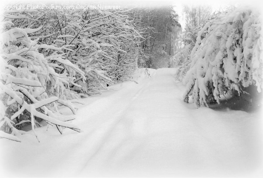 Ice, Outdoors, Snow
