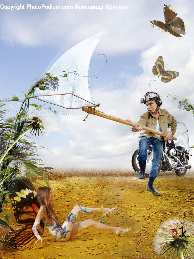 Motor, Motorcycle, Vehicle, People, Person, Human, Butterfly