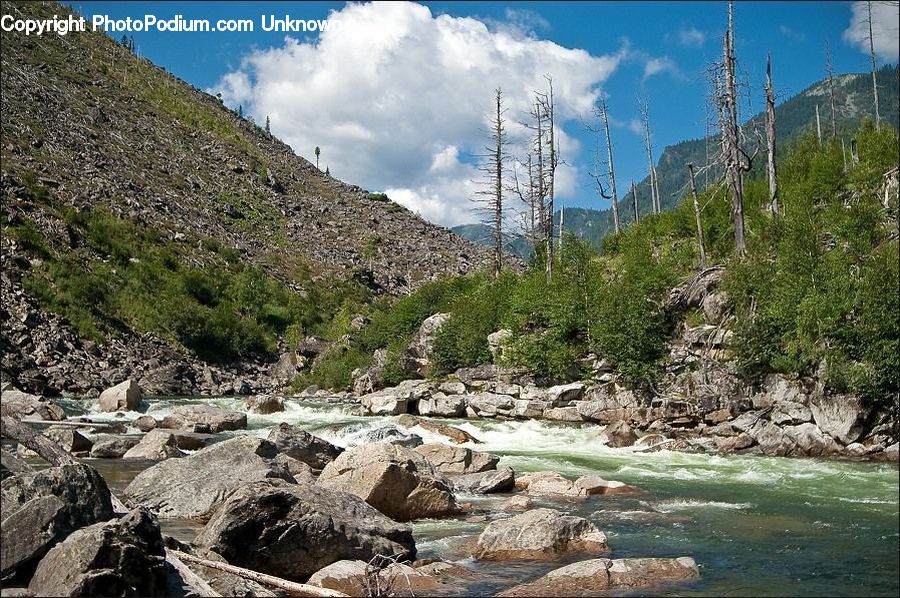 Rock, Creek, Outdoors, River, Water, Plant, Vegetation