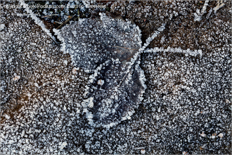 Pavement, Asphalt, Tarmac, Pebble
