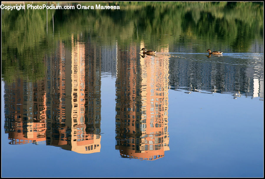 Building, Housing, Apartment Building, High Rise, City, Architecture, Castle