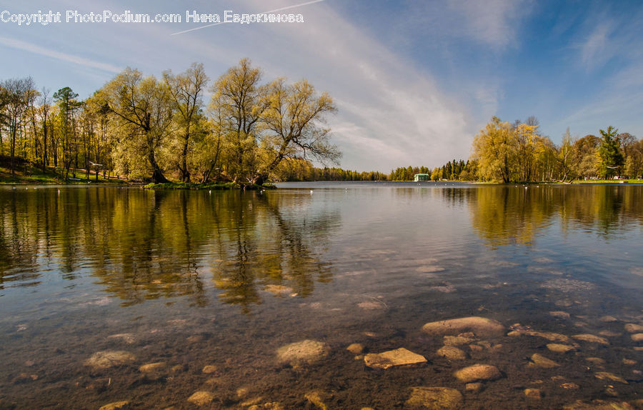 Lake, Outdoors, Water, Field, Grass, Grassland, Plant
