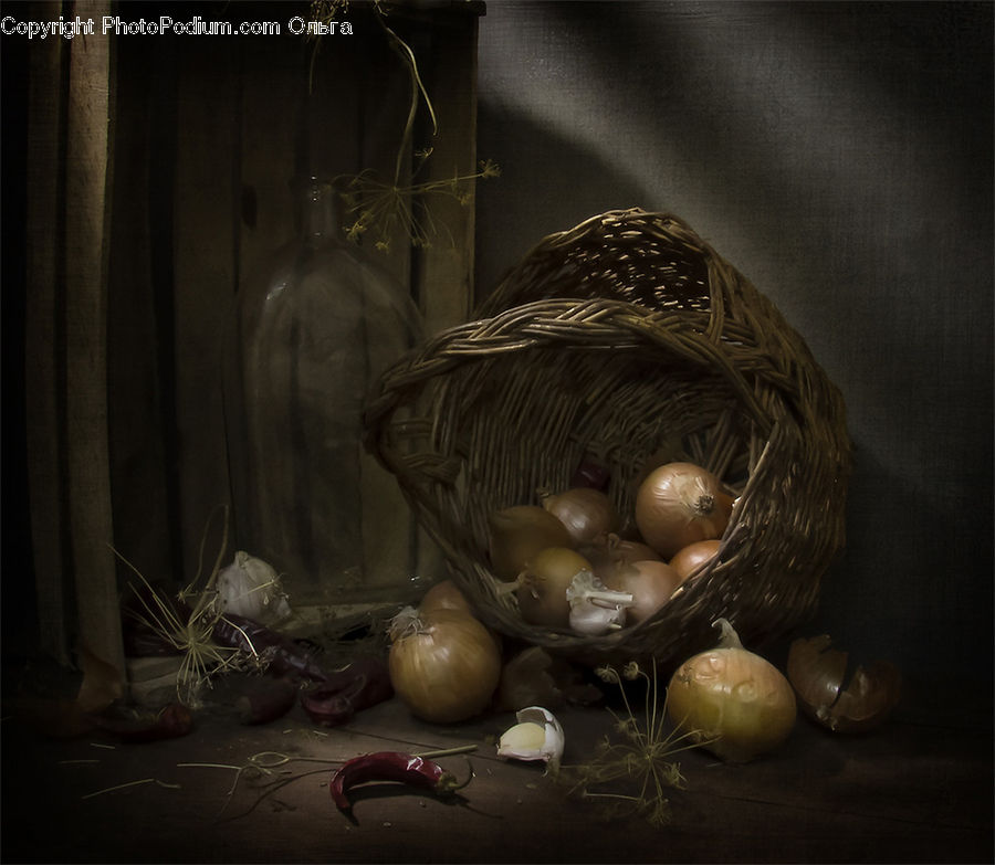 Plant, Potted Plant, Pumpkin, Squash, Vegetable, Onion, Produce