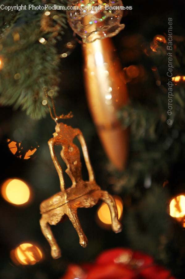 Glass, Maple, Tree, Wood, Maple Leaf, Plant, Food