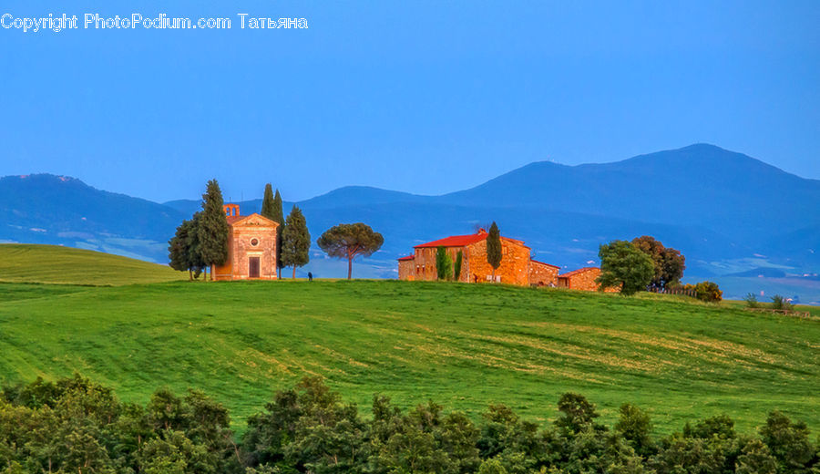 Field, Grass, Grassland, Land, Outdoors, Landscape, Nature