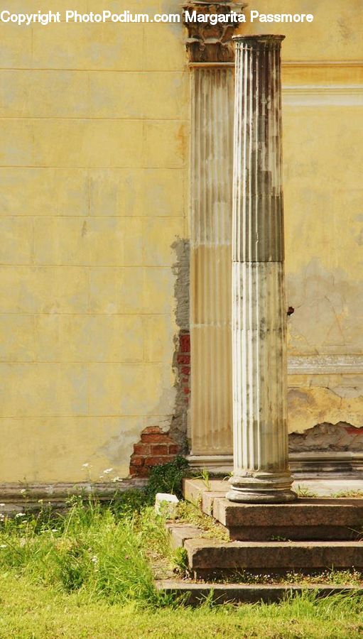 Plant, Potted Plant, Column, Pillar, Brick, Ruins