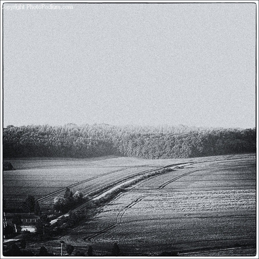 Field