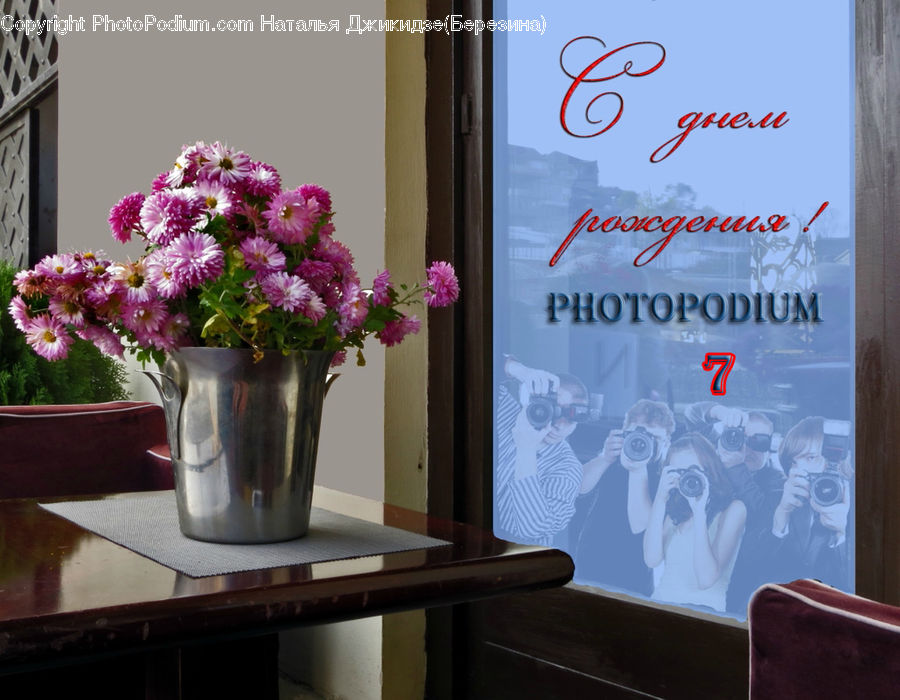 Plant, Potted Plant, Luggage, Suitcase, Jar, Porcelain, Vase