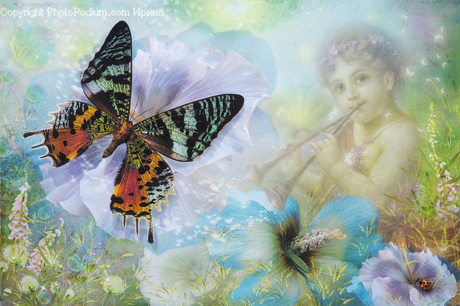 Butterfly, Insect, Invertebrate, Art, Collage, Poster, Plant