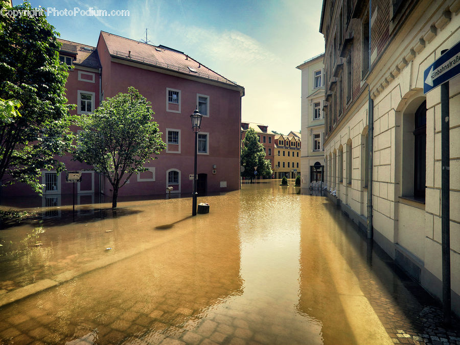 Plant, Tree, Flood, Path, Road, Walkway, Building