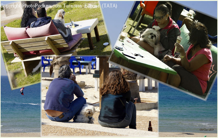 People, Person, Human, Collage, Poster, Reading, Chair