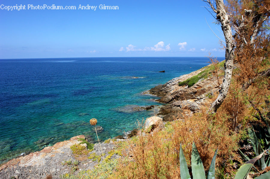 Beach, Coast, Outdoors, Sea, Water, Promontory, Forest