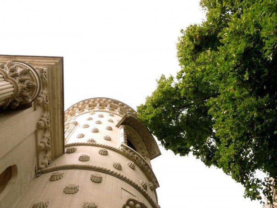 Column, Pillar, Conifer, Plant, Tree, Wood, Yew