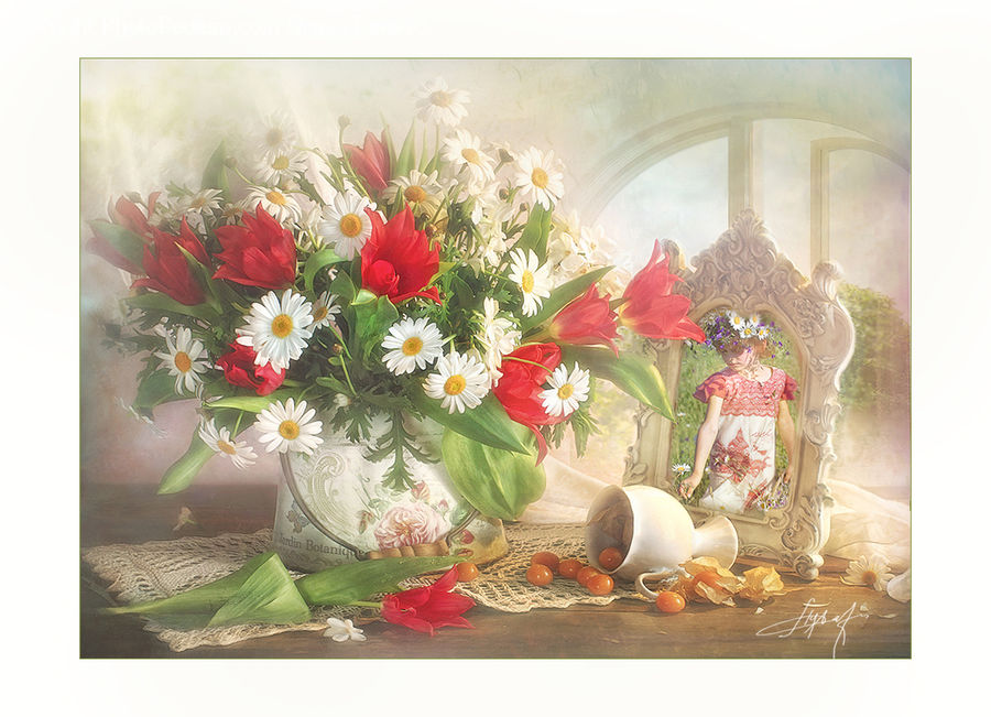 Plant, Potted Plant, Floral Design, Flower, Flower Arrangement, Flower Bouquet, Ikebana