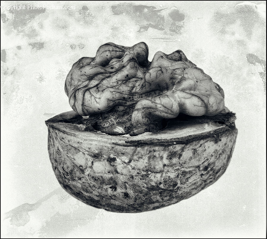 Bowl, Drawing, Sketch, Art, Sculpture, Statue