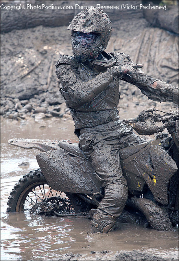 Mud, Soil, Mining, Art, Sculpture, Statue, Iguana