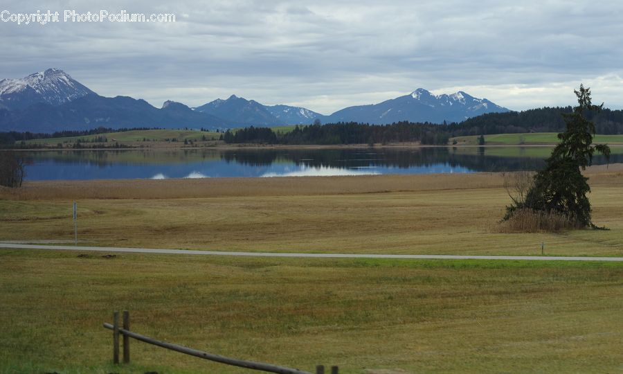 Golf Course, Grassland, Field, Grass, Land, Outdoors, Plant