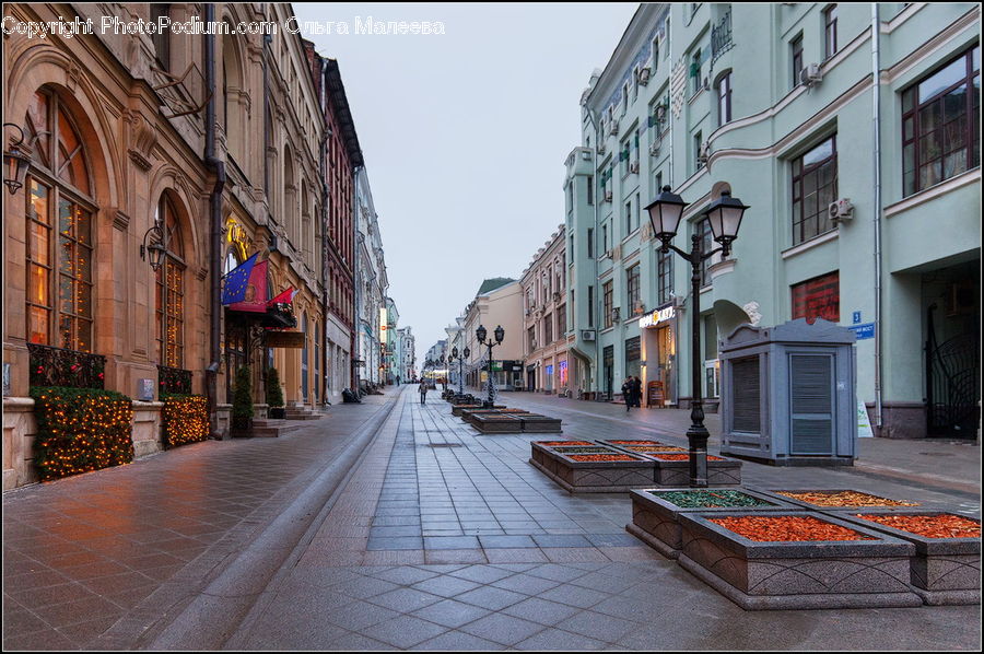 Plant, Potted Plant, Road, Street, Town, Deck, Housing