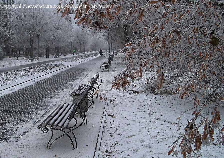 Park Bench, Bench, Landscape, Nature, Scenery