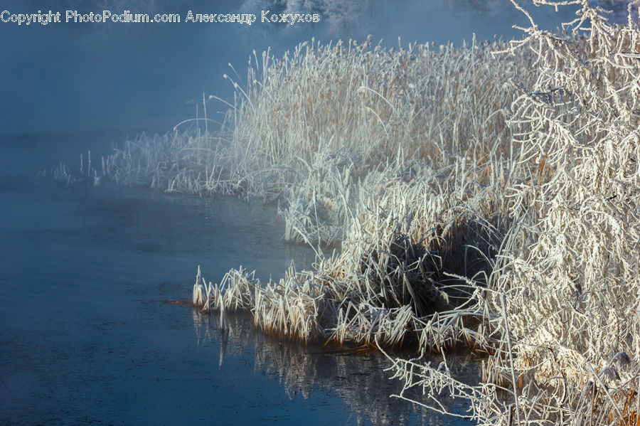 Frost, Ice, Outdoors, Snow, Field, Grass, Grassland