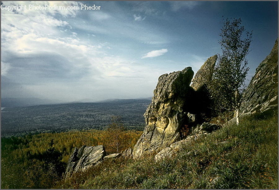 Rock, Field, Grass, Grassland, Land, Outdoors, Coast