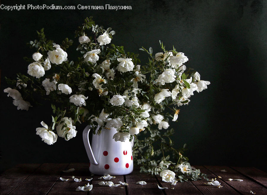 Plant, Potted Plant, Floral Design, Flower, Flower Arrangement, Flower Bouquet, Ikebana