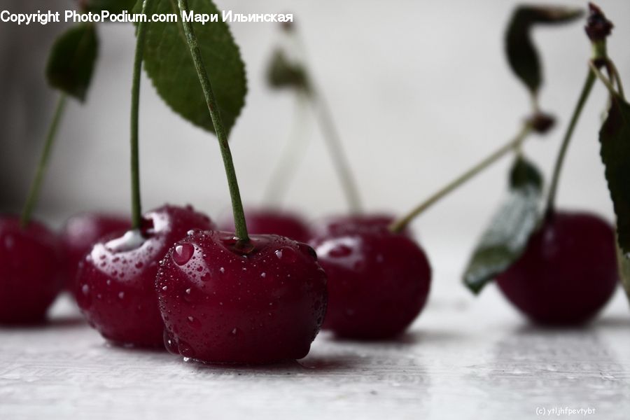 Cherry, Fruit, Flower Arrangement, Ikebana, Plant, Potted Plant, Vase