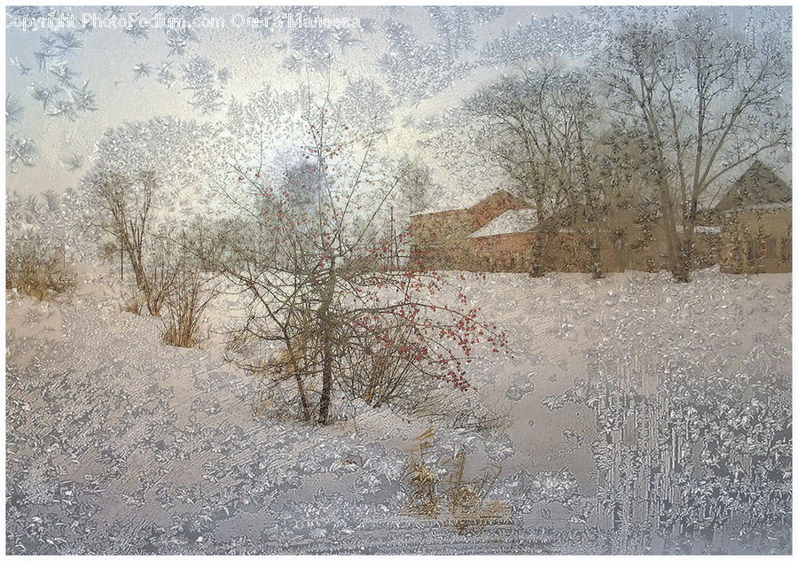 Frost, Ice, Outdoors, Snow, Landscape, Nature, Scenery