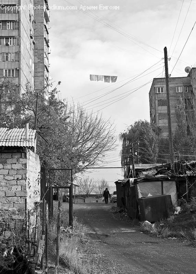 Apartment Building, Building, High Rise, Alley, Alleyway, Road, Street