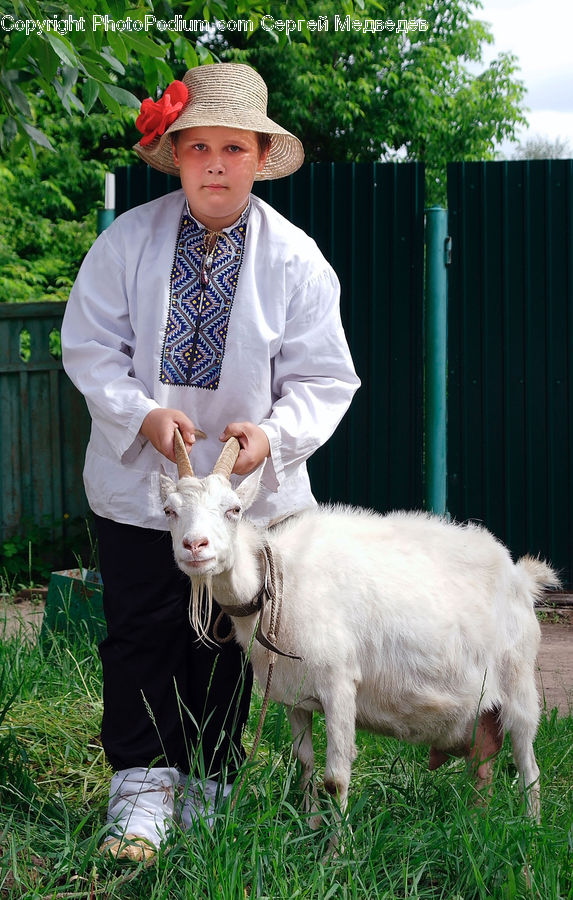 People, Person, Human, Animal, Goat, Mammal, Mountain Goat