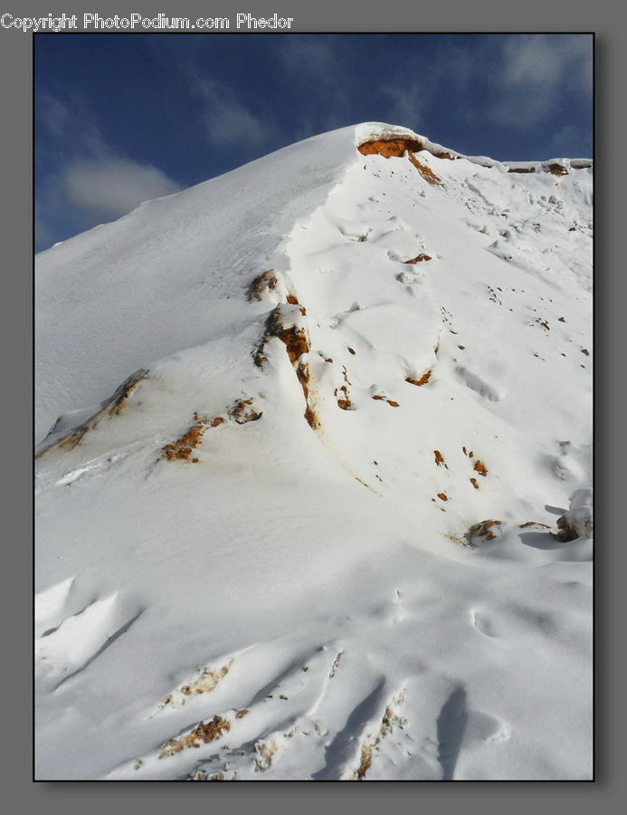 Bird, Grouse, Ptarmigan, Ice, Outdoors, Snow