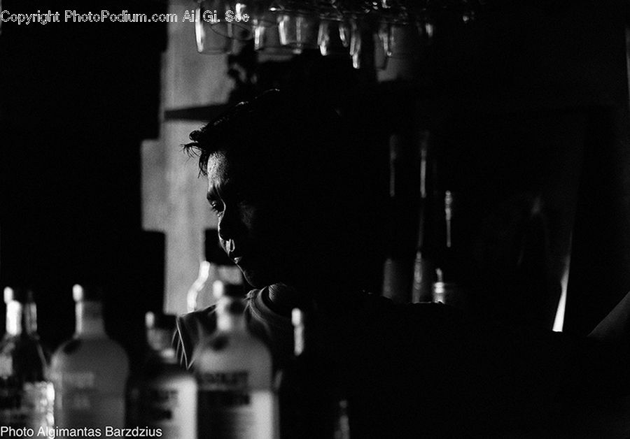 Alcohol, Beverage, Drink, Beer, Beer Bottle, Bottle, Bar Counter