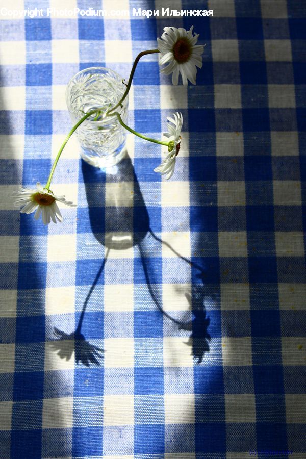 People, Person, Human, Home Decor, Linen, Tablecloth, Gift