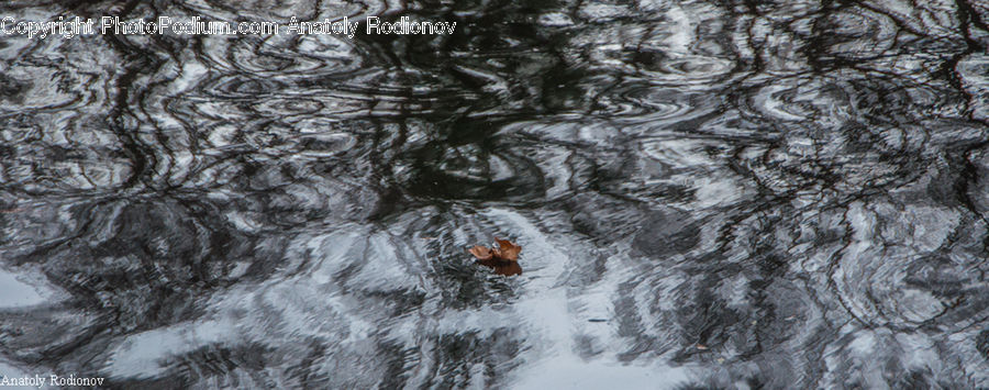 Art, Drawing, Outdoors, Ripple, Water, Doodle, Conifer