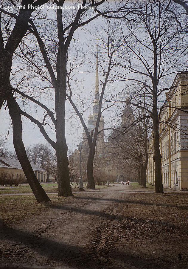 Dirt Road, Gravel, Road, Park, Campus, Plant, Tree
