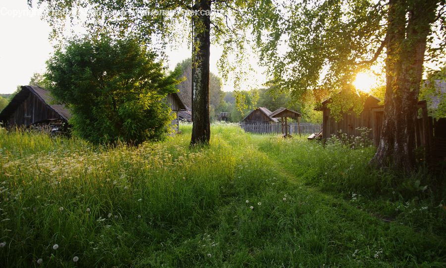 Camping, Cabin, Hut, Rural, Shack, Shelter, Building