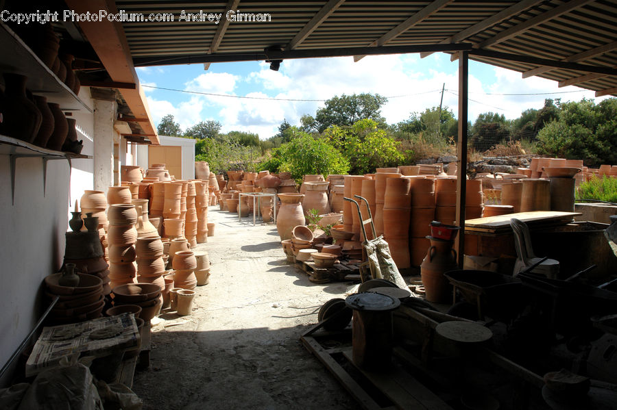 Plant, Potted Plant, Pot, Pottery, Patio, Pergola, Porch