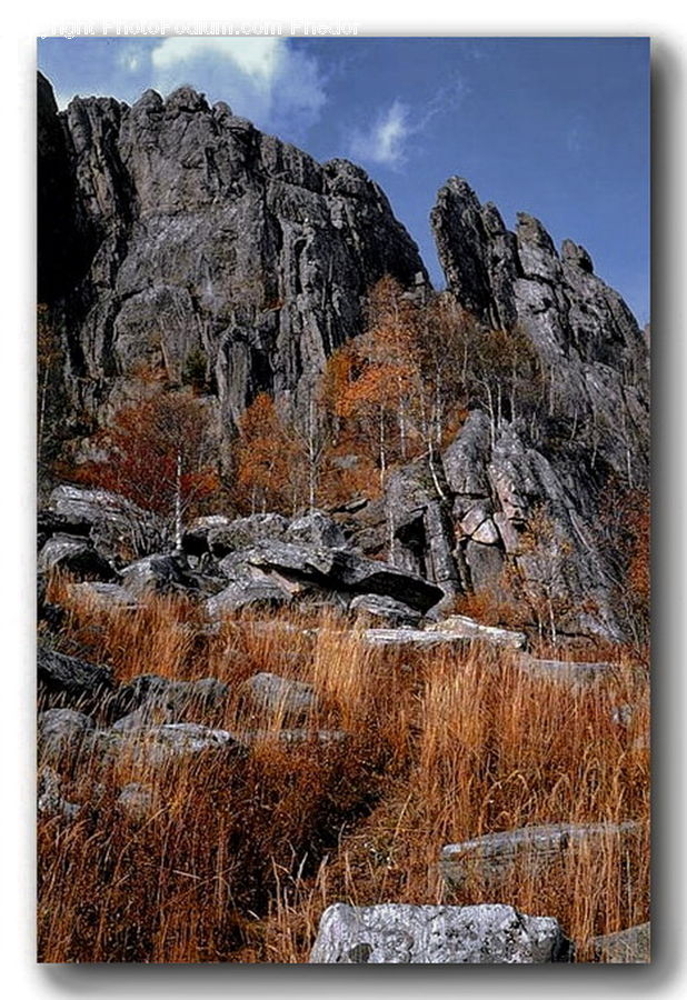 Collage, Poster, Art, Modern Art, Frost, Ice, Outdoors