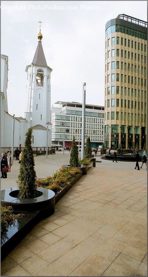 Bonsai, Plant, Potted Plant, Tree, Architecture, Bell Tower, Clock Tower