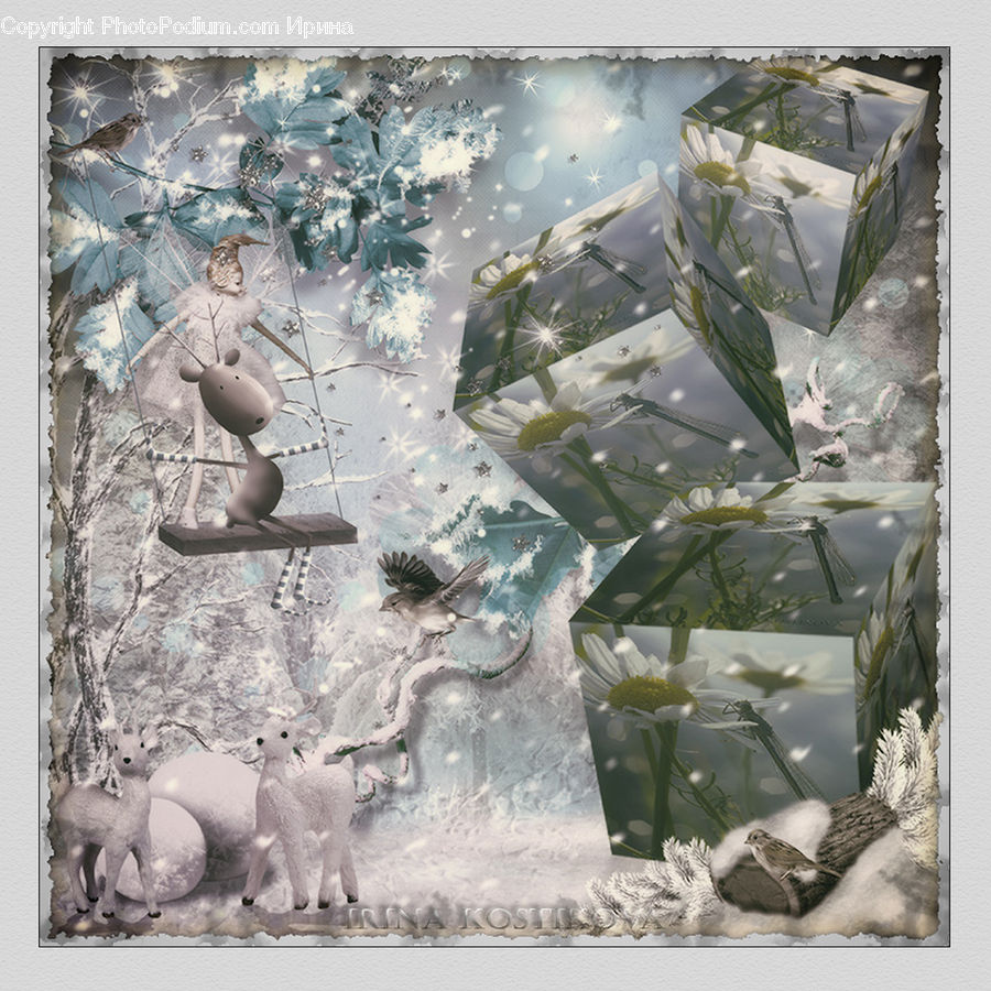 Plant, Potted Plant, Collage, Poster, Art, Modern Art, Crystal