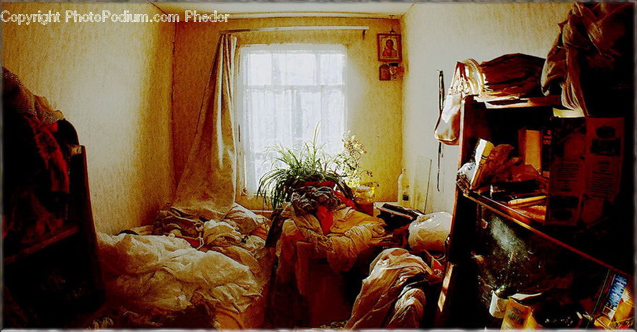 Plant, Potted Plant, Bedroom, Indoors, Room, Interior Design, Apartment