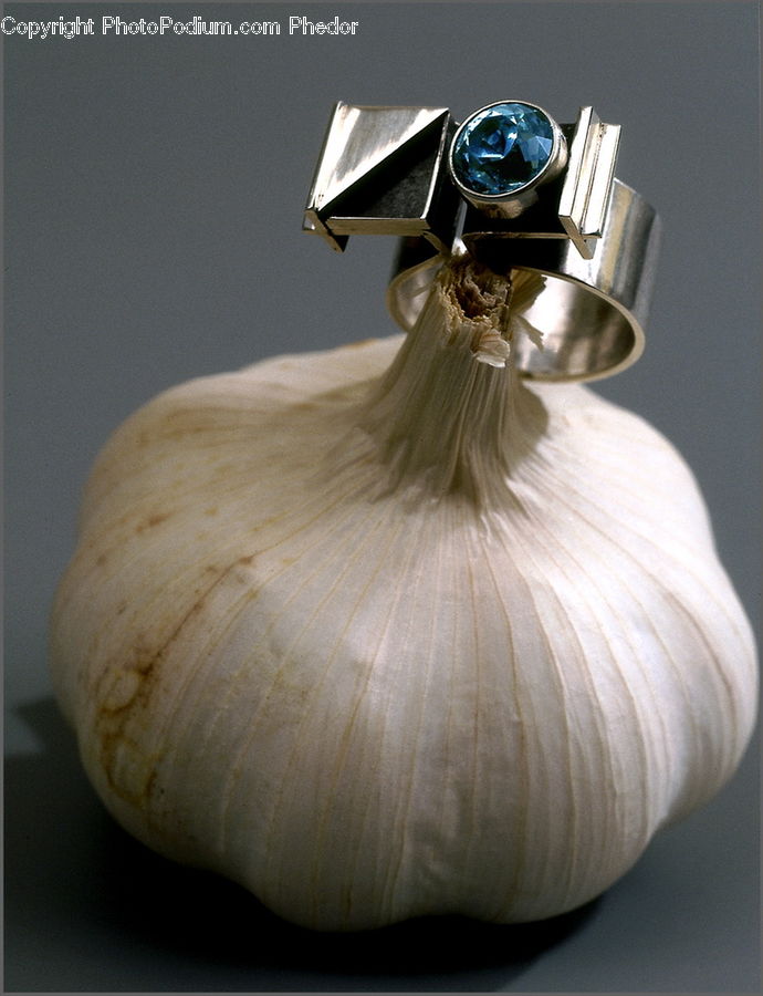 Garlic, Plant